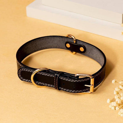 Rugged Leather Dog Collar-3